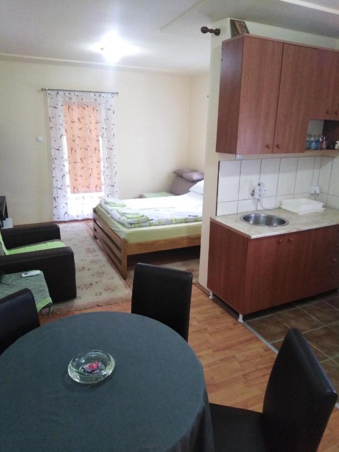 Apartman Sasa Banja Koviljača Eksteriør bilde